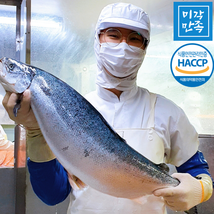 [미각만족] HACCP 얼리지않은 노르웨이 생연어 연어회 필렛 (몸+뱃살) 2kg 1kg 500g 300g, 03.생연어 필렛 1kg