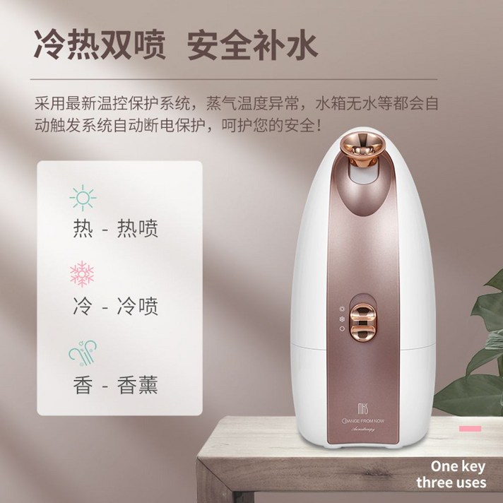 온열 듀얼 찜질기 스프레이 보습기 미용 얼굴 가습기, NV8388 스트리머 파우더