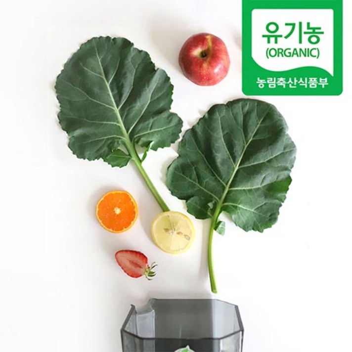 계절감미 친환경 유기농 무농약 케일 쌈용 즙용 1kg 2kg 당일수확, 유기농 케일 [즙용]