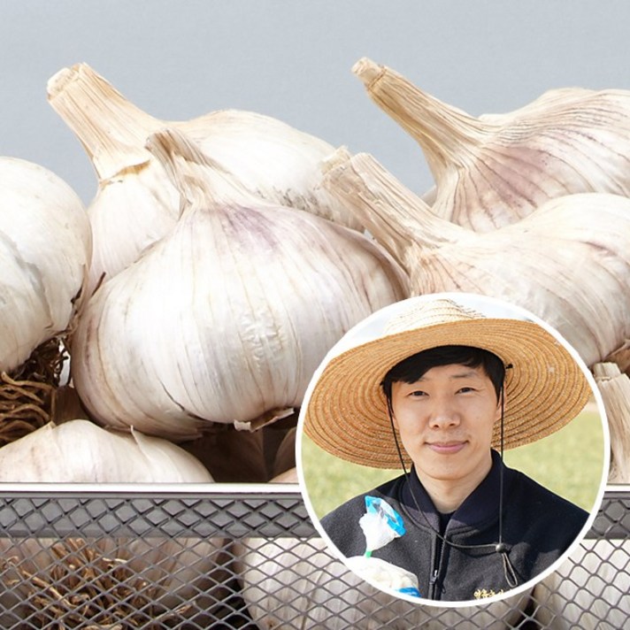 [산지직송] 황토 무안 햇 통마늘(남도) 대1kg, 1kg, 1개