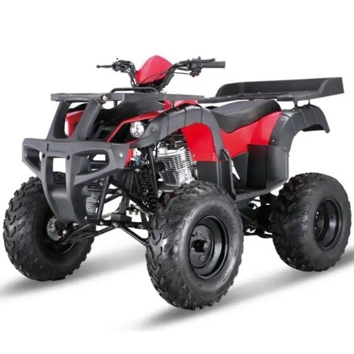 성인용 전기 Atvs 쿼드 자전거 오토바이 E 쿼드 4 륜 장거리 판매 2000W 60V 125cc 400cc 500cc, 원컬러, 강철