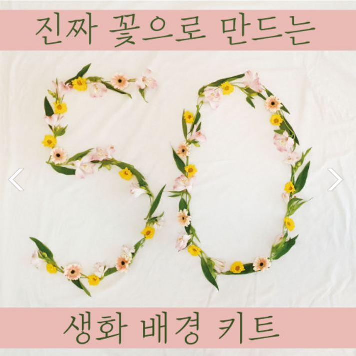 50일셀프촬영 생화배경키트 촬영소품 꽃배경 숫자배경 - KiKi