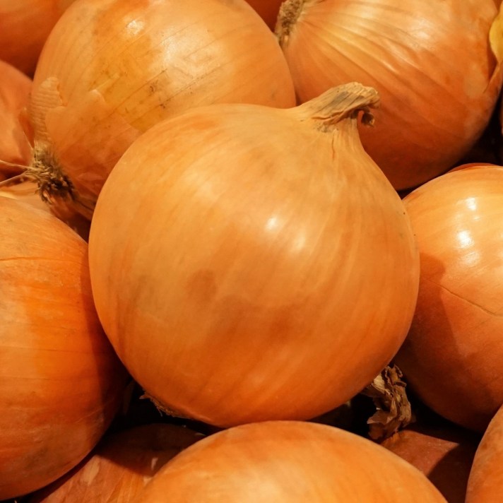크고 단단한 양파 3kg 5kg 10kg 20kg 대 특 국내산 합천 햇, 5kg(중-대)