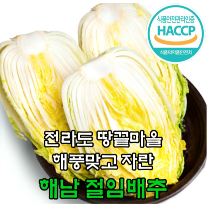 [도시농부] 해남 절임배추 20kg 휘파람골드 품종 7~10포기, 11월13일 토요일 (도착)