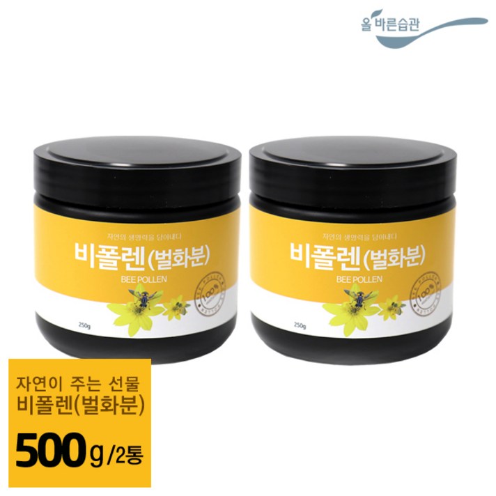 올바른습관 비폴렌 벌화분 스페인산 스페인 250g 500g, 2병