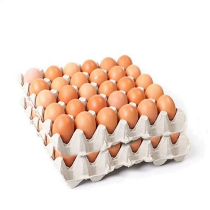 [당일 생산] 닥터안스에그 무항생제 인증 수의사 계란, 대란 60구, 3120g 이상