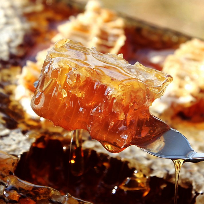 오금석님 1+ 등급, 900g, 1개