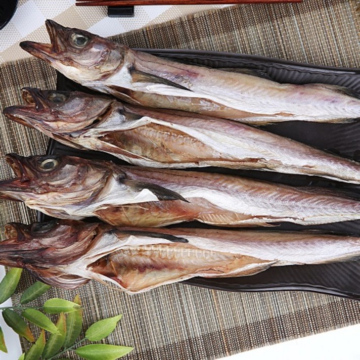 파란별건어물 [속초특산물] 쫄깃한 맛 반건조 코다리 45cm, 4마리