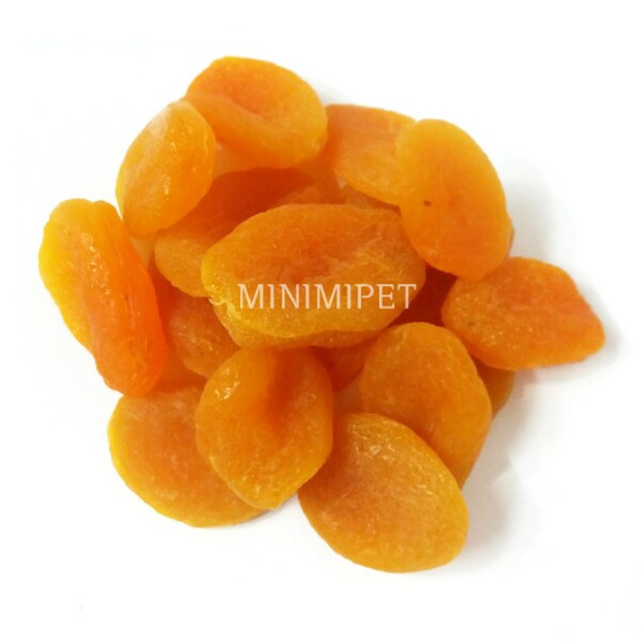건살구 50g/햄스터/토끼/슈가간식/소동물간식, 1개