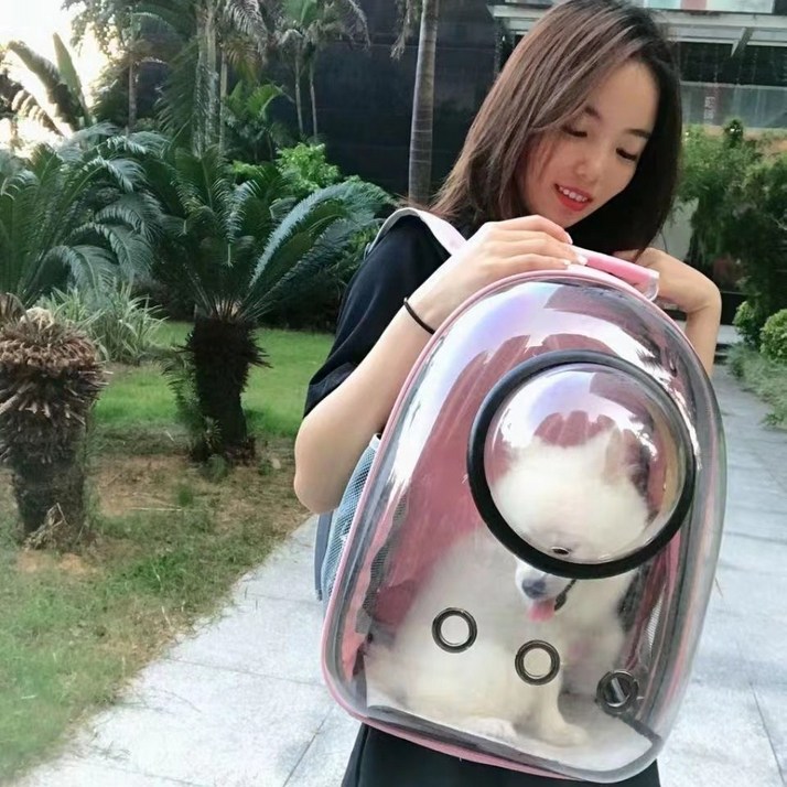강아지 고양이 우주선 가방 캡슐 배낭 이동장 - 쇼핑뉴스