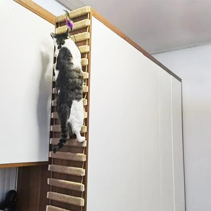 고양이 사다리 밧줄 캣스텝 벽걸이 케이지 구름다리