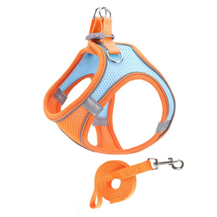 파이 굿타임 하네스  리드줄 세트