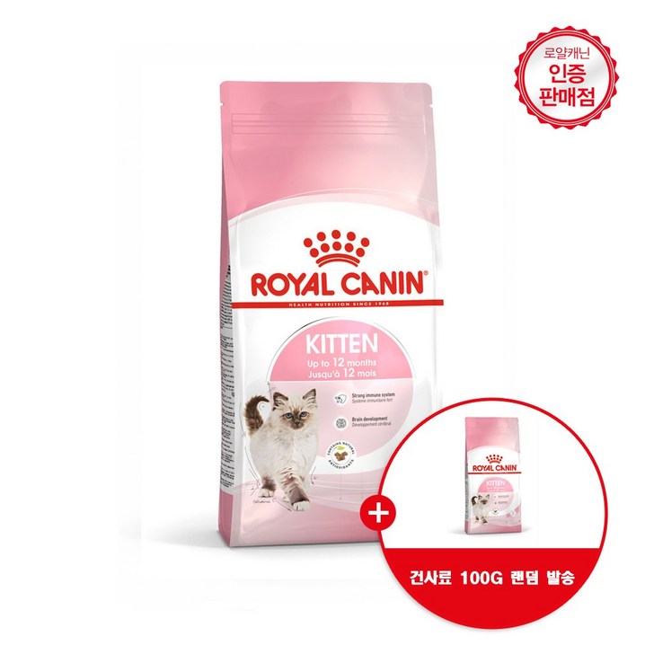 로얄캐닌 고양이사료 키튼 건식 4kg 면역력강화도움 사은품 건사료 100G 랜덤 발송