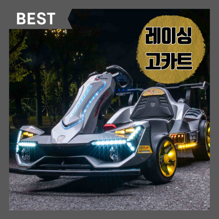 스피드호크 고카트 24V14A 드리프트 전동차 전기카트 전동카트 스피드호크 고카트 24V14A 드리프트 전동차 전기카트 전동카트
