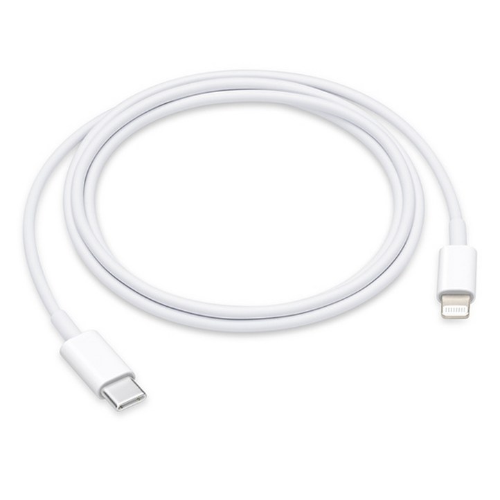 Apple 정품 LightningC타입 충전 케이블, 1m, 1개