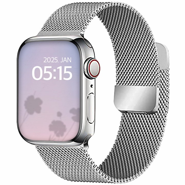 디지지 애플워치 호환 밀레니즈 마그네틱 스트랩