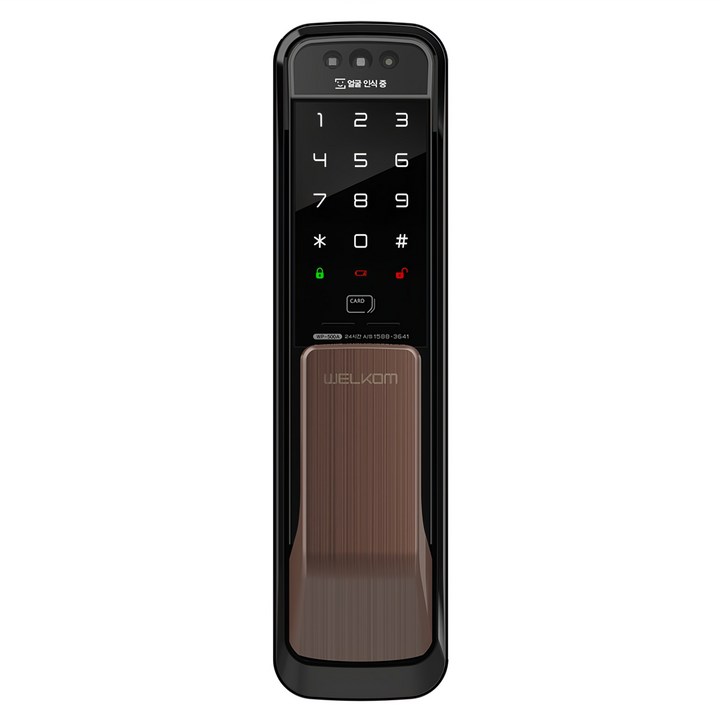 솔리티 얼굴인식 무타공 푸시풀 손잡이 도어락 WP-500A