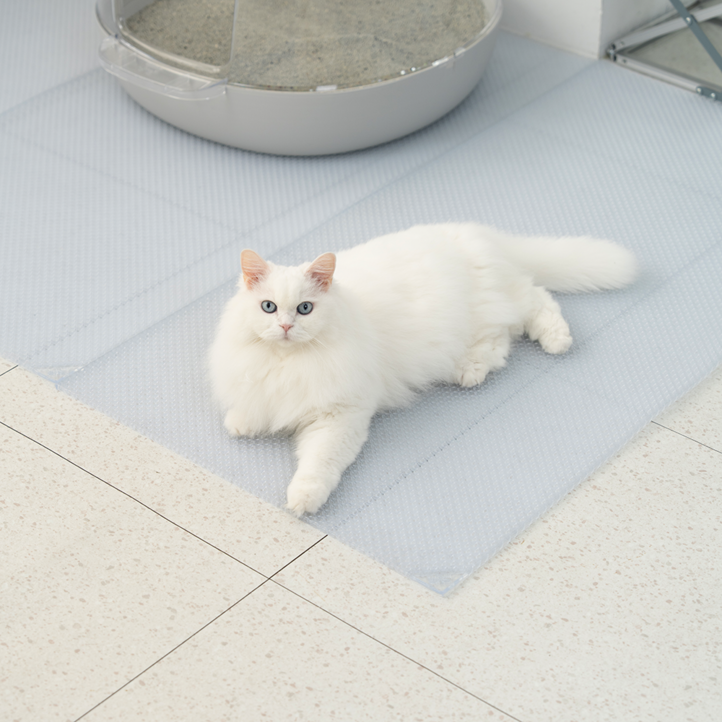 냥쌤 고양이 캐치매트 롱타입, 1개, 투명