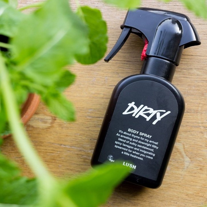 LUSH 러쉬 바디 스프레이 200ml 5종 가든레몬트리 트와일라잇 더티 로즈잼 플럼레인 트와일라잇