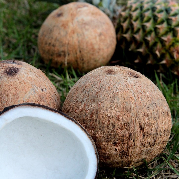 원시인농산 베트남 코코넛 개당 판매원하는 수량만큼 담으세요.  15개까지 묶음가능