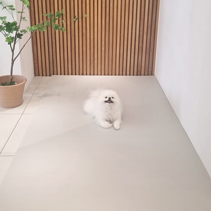 천일카페트 강아지 미끄럼방지 덧매트