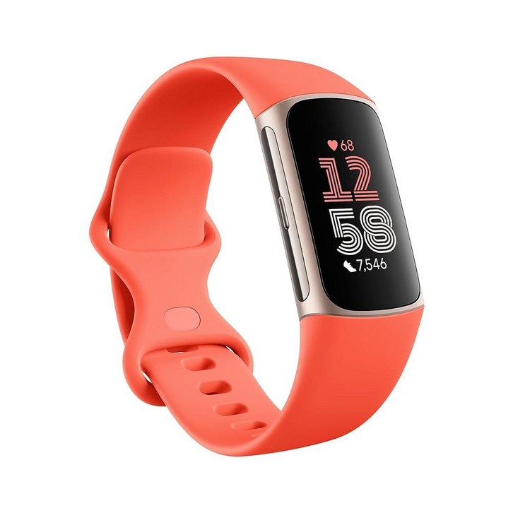 Fitbit 구글 앱이 포함된 핏비트 차지 6 피트니스트러커 운동 기구 심박수 6개월 프리미엄 멤버십 포함 GPS 헬스 도구 등 코랄라이트 골드 원 사이즈SL 밴드
