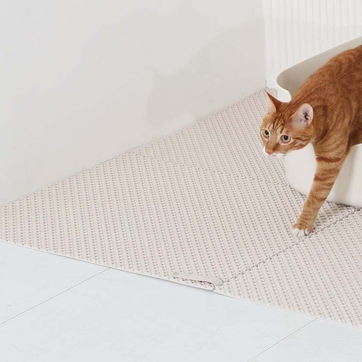 소심한호랑이 고양이 가벼워 모래매트 - 쇼핑뉴스