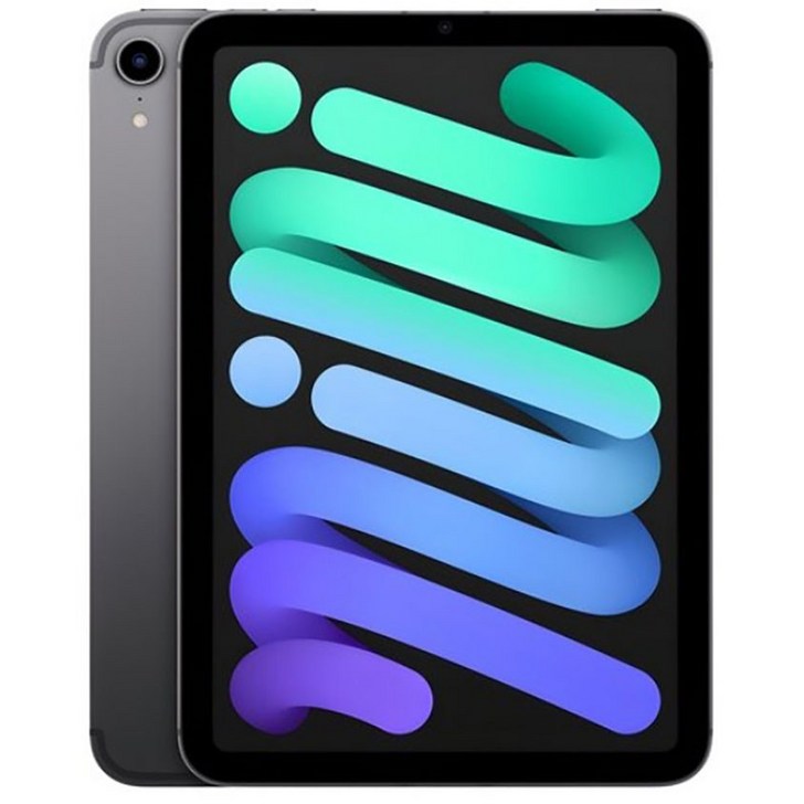 아이패드미니6 WIFI  LTE 태블릿, WiFi, 64GB, 스페이스그레이