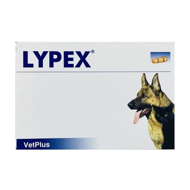 벳플러스 라이펙스 60정 LYPEX 개 고양이 EPI 췌장효소성분 보조제