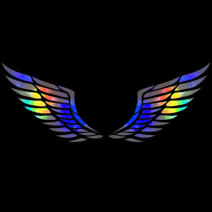 마이웨이카 자동차 천사 날개 스티커, 홀로그램, 1개