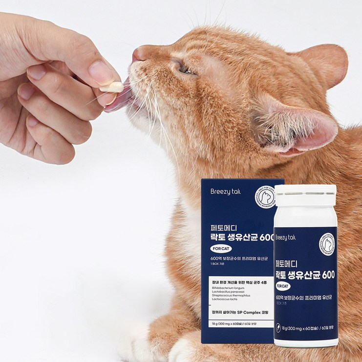 브리지테일 페토메디 고양이 락토 생유산균 600 캡슐형, 1박스, 장건강에 도움, 유산균