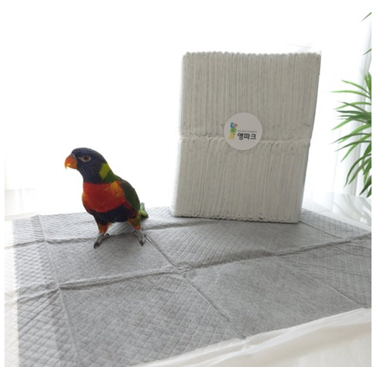 앵파크 앵무새 배변패드 600 새장용 50매입 이동장 깔개 청소 새용품 날림장