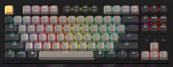 키크론 C1 Pro RGB 기계식 핫스왑 저소음 갈축 유선키보드, 텐키리스, 혼합색상, C1P-H7 - thumb image