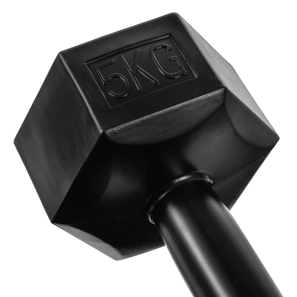 코멧 스포츠 육각 덤벨 아령 블랙, 5kg, 2개입 - thumb image