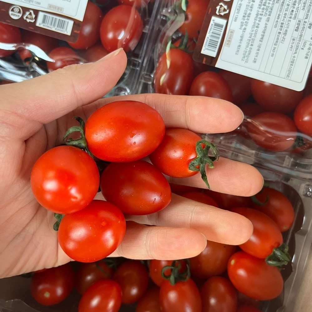 애플 스테비아 토마토 샤인 마토 2kg +2kg 4kg 500g 8팩, 8개 - thumb image