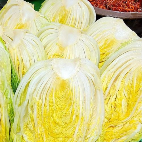 전라도 꽃 김치 국산 국내산 수제 생포기 김치 배추김치 당일제조 김장김치 수제 포기김치 전라도김치 가정식 수제김치 모든재료국내산 전라도맛있는김치, 3kg, 1개 - thumb image
