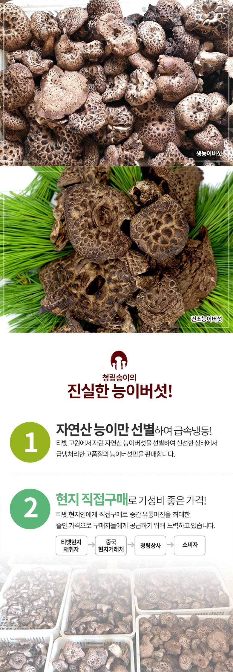 능이 버섯 가격 자연산 자연산 능이버섯