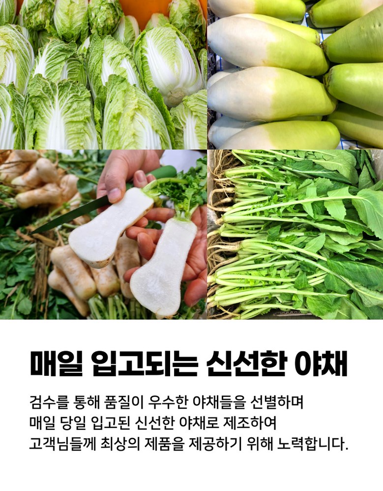 뜰아래김치 국산 파김치, 3kg, 1개 - 양파/파/부추김치 | 쿠팡